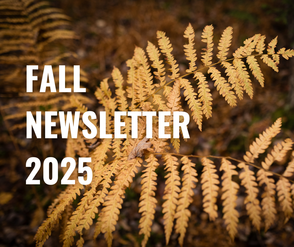 Fall 2025 Newsletter