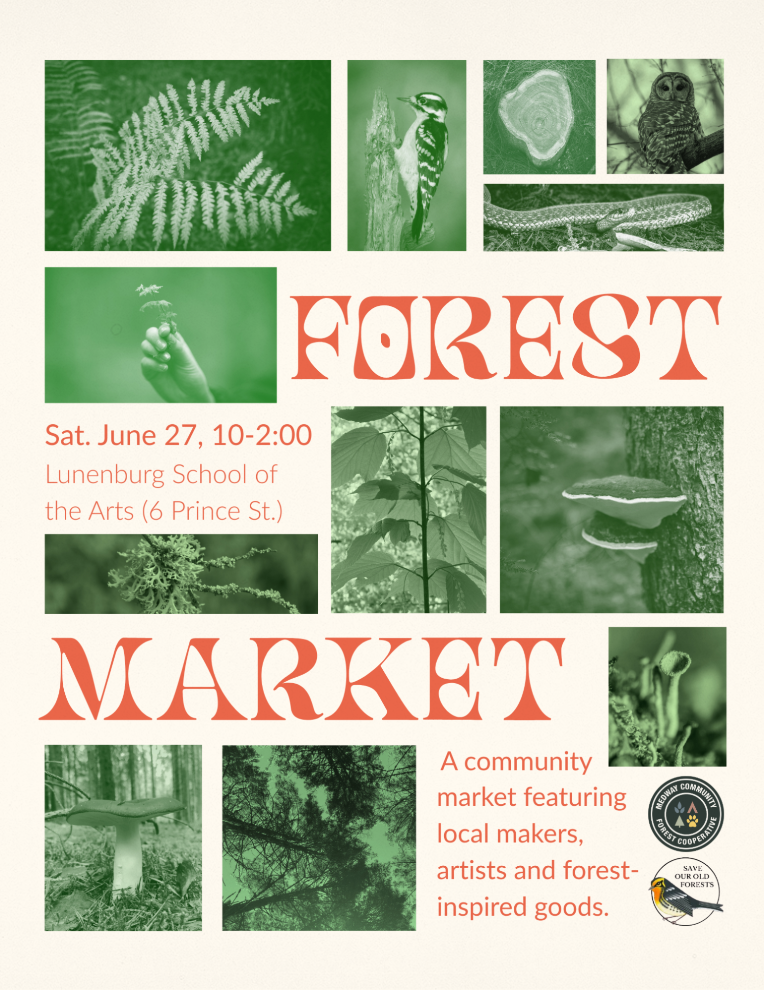 Forest Market: Spring Edition 