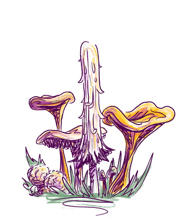 Fungi Foray with Mycologist Keith Egger
