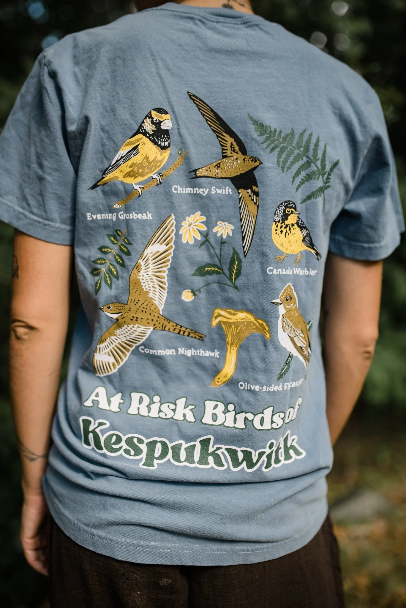 At Risk Birds