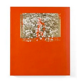 Gaijin Omoide Poroporo Hikari: editing and proofreading