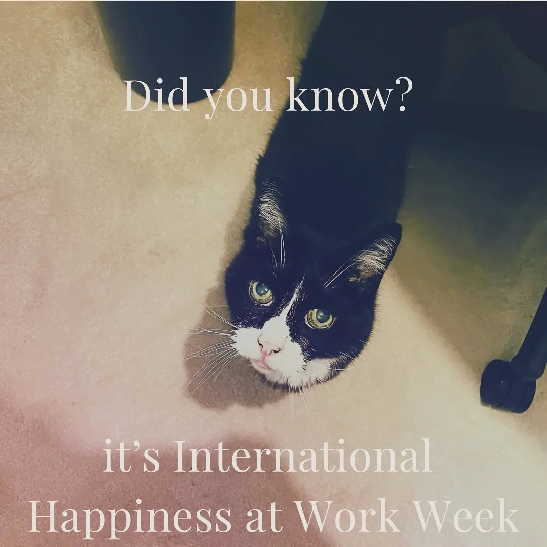 Cosmo the cat is here to tell you that it&rsquo;s International Week of Happiness at Work Week! 

Hit me with your tips on how you sprinkle joy into your working day! 

My office buddy Cosmo maintains focus and energy by taking power naps. 

For me i