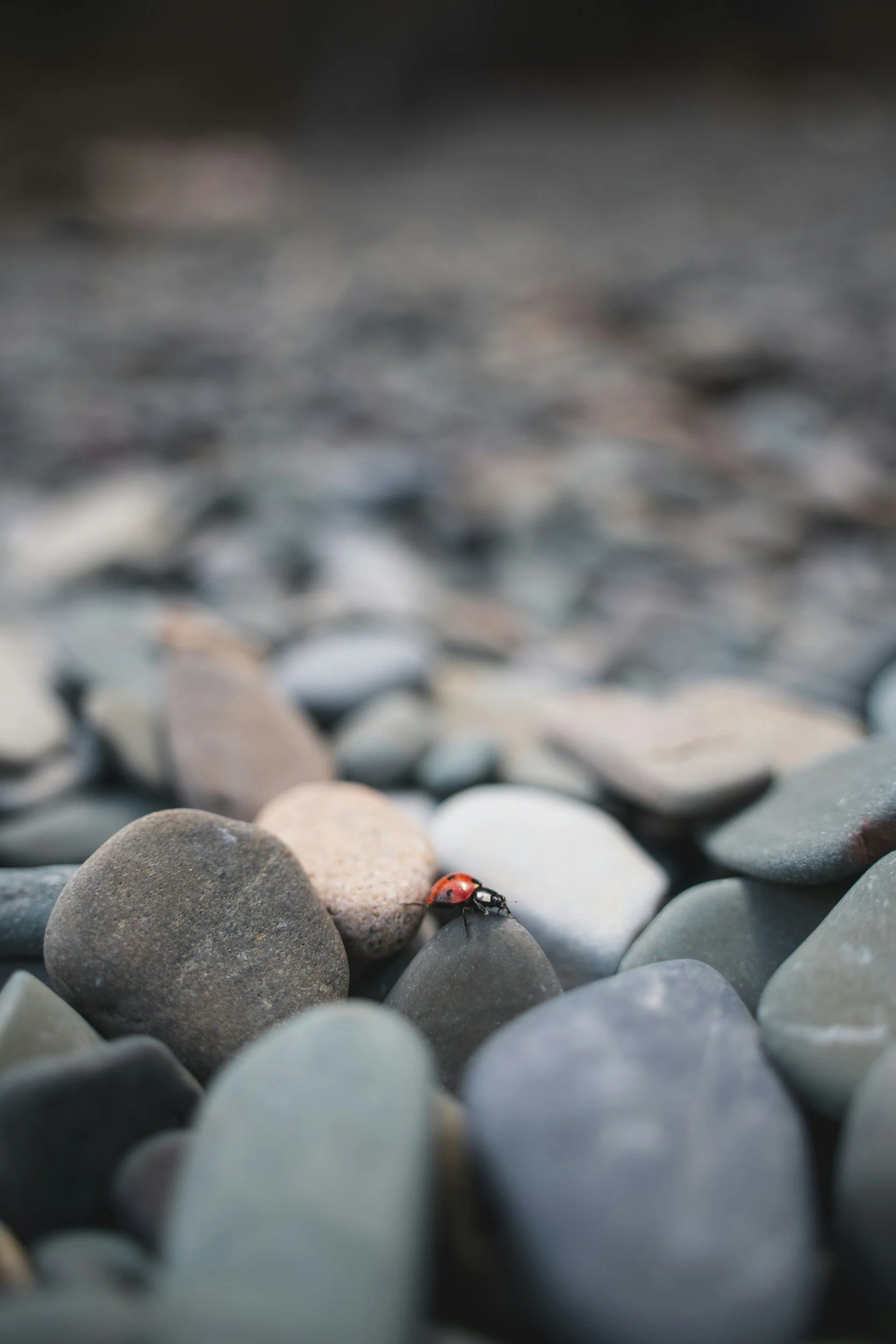 Small is Sublime: What Buying From A Big Brand Taught Me About Customer Service 