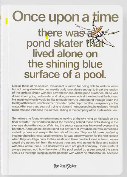 Pond Skater: translation, editing and proofreading