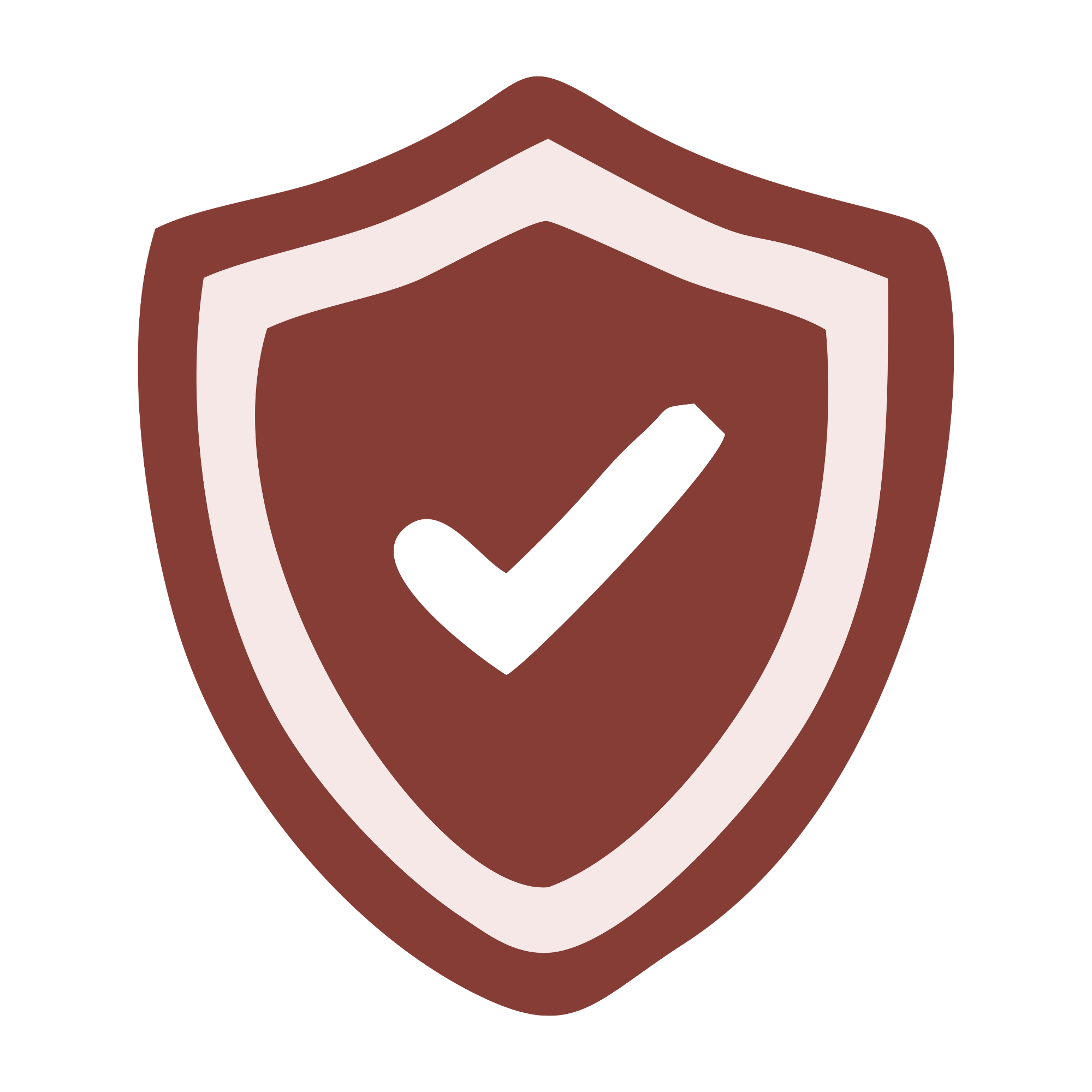 a tick mark inside a shield