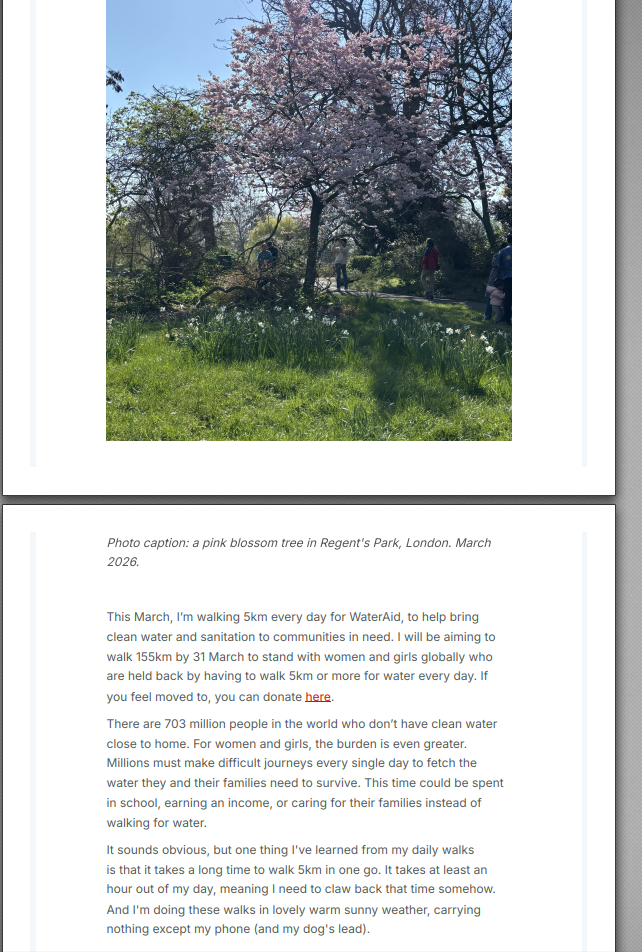 a screenshot of a newsletter