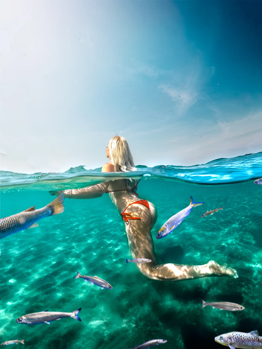 Sabaudia underwater with fish 2.jpg