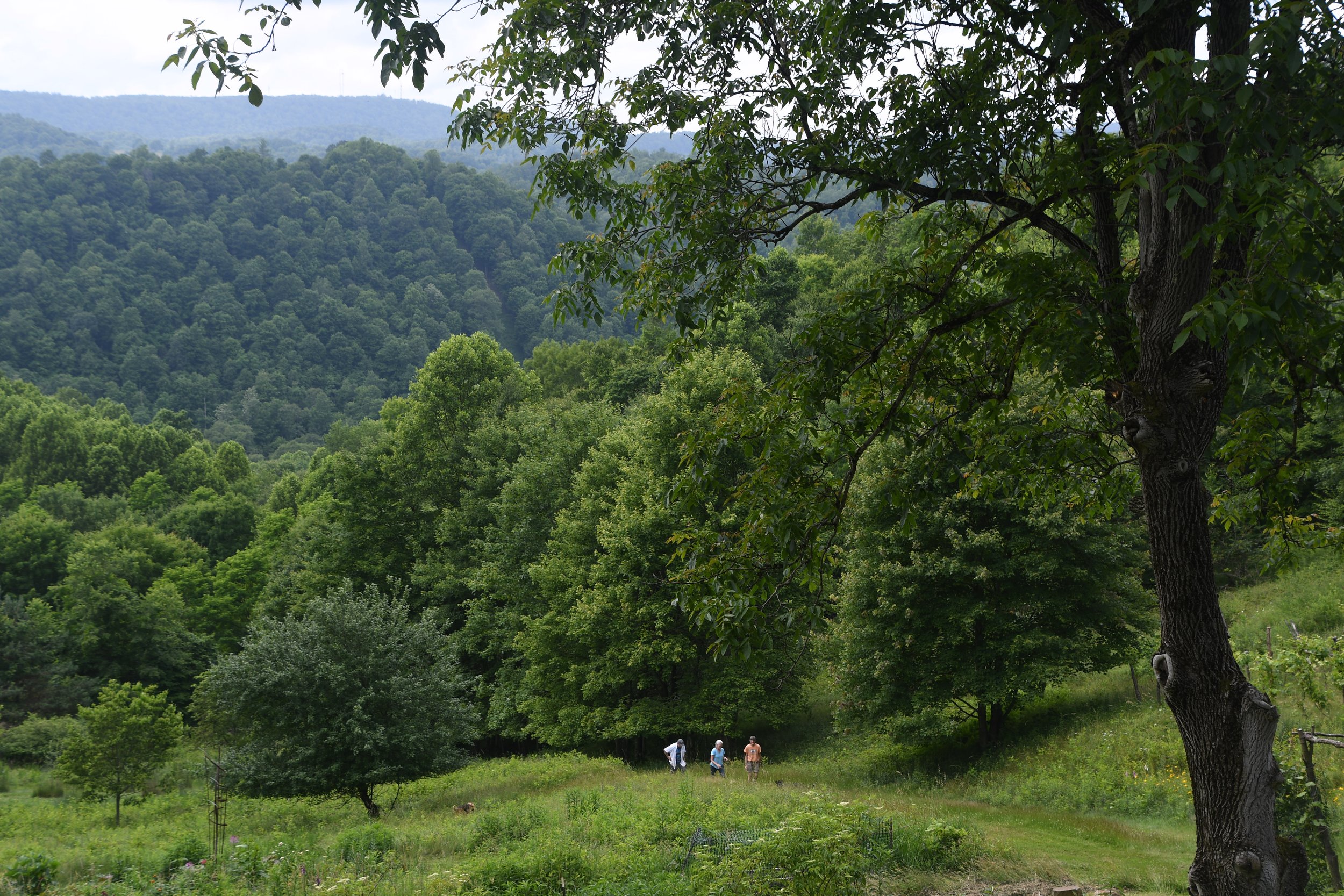 DSC_3566.JPG