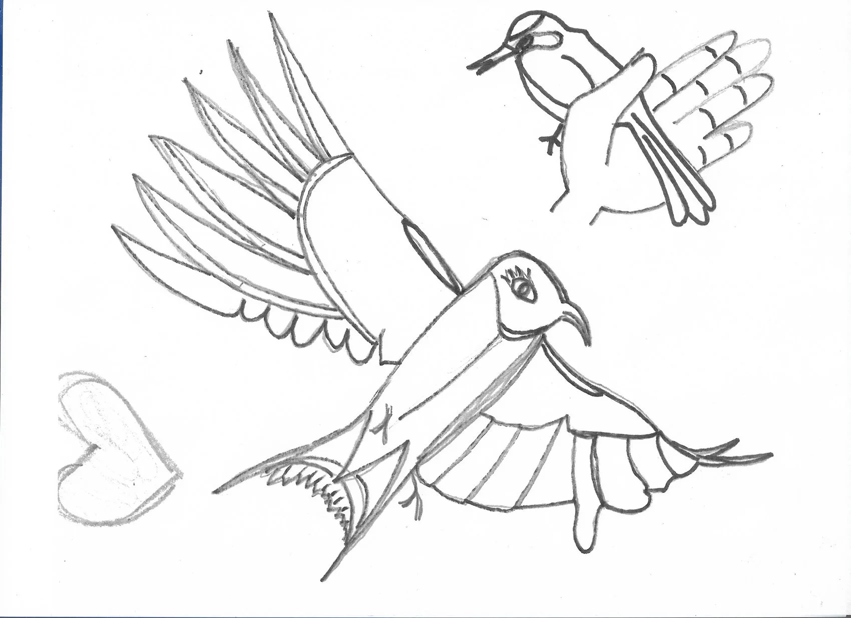 1 Swallow Warbler.jpg