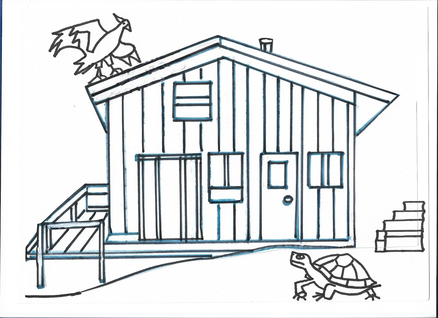 8 Turkey Turtle Cabin.jpg