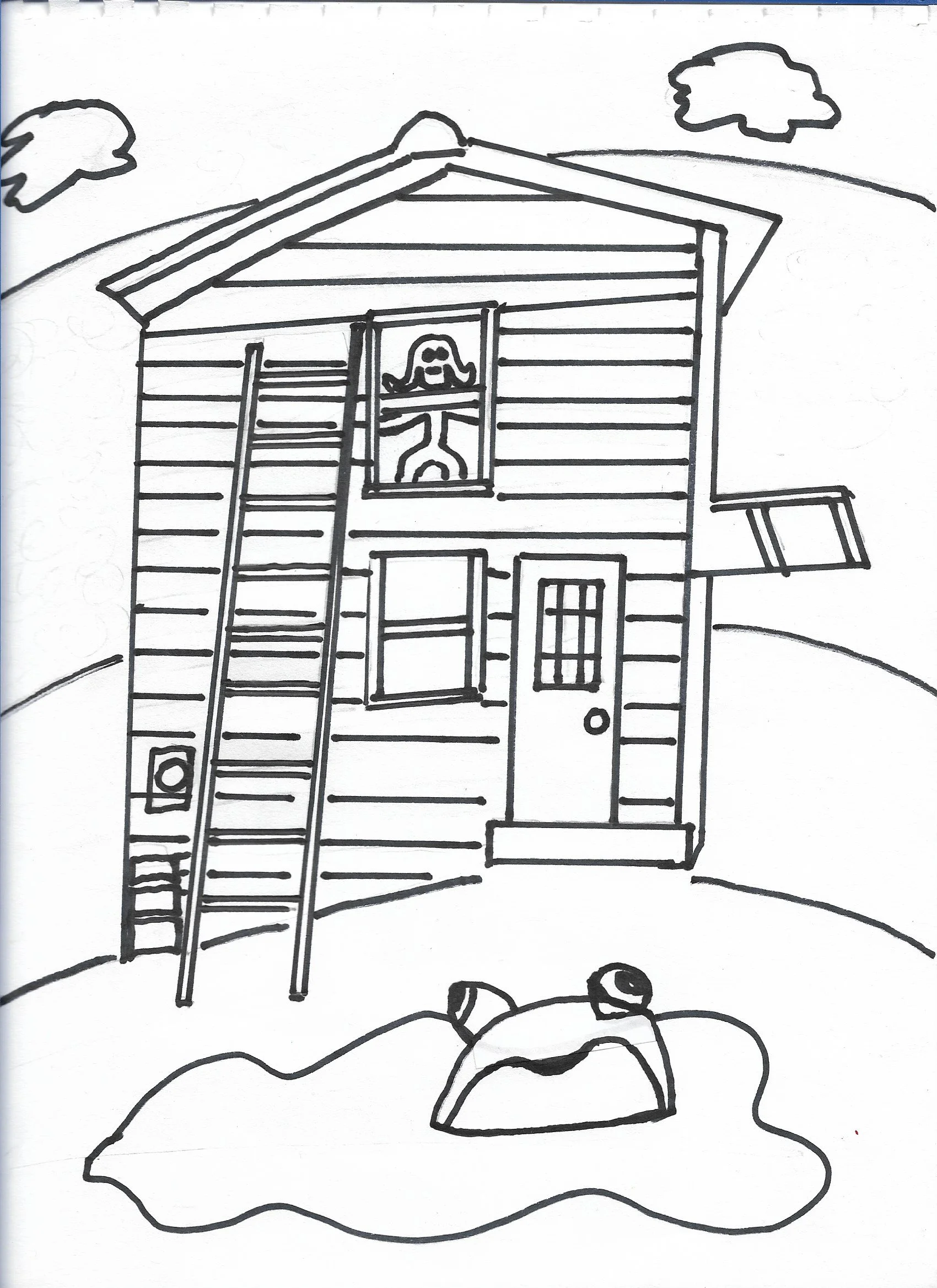 3 Frog Climb Ladder.jpg