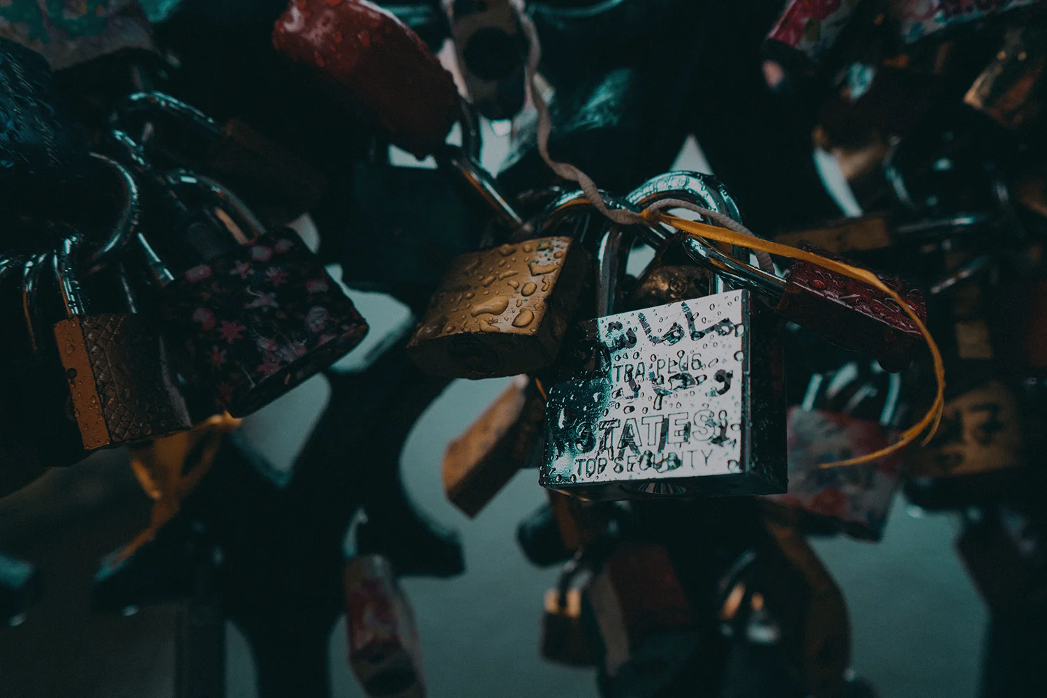jude-al-safadi-AMYlePJKhjs-unsplash 2.jpg