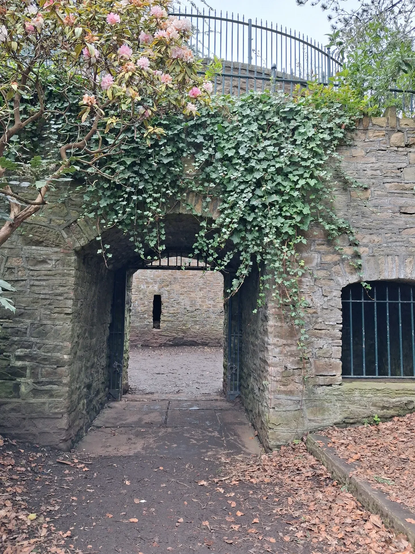 entrance.webp