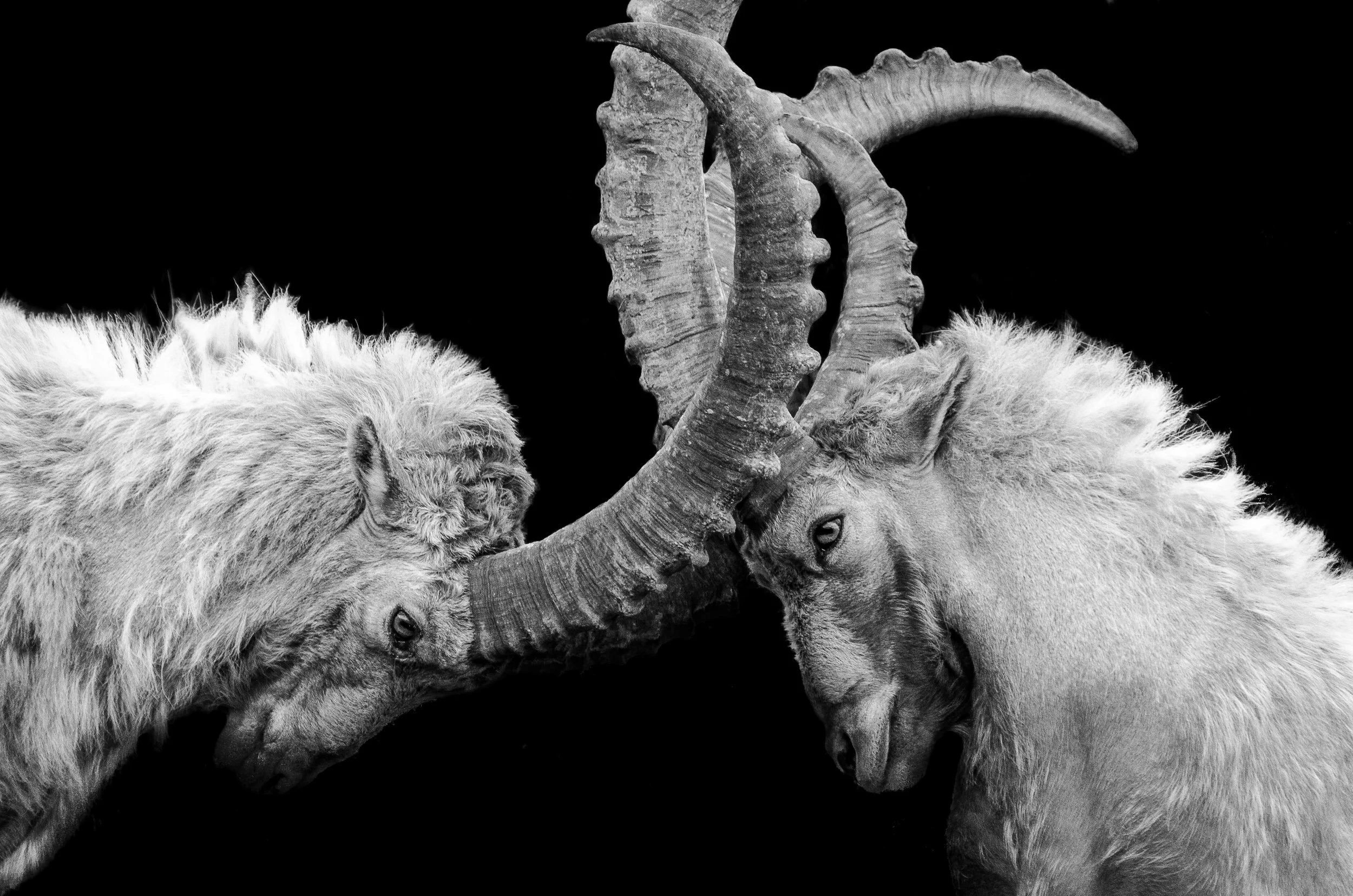 Aug 26th: Dark Shadows of the Past: Developing a Strong Antagonist with Valeriya Salt