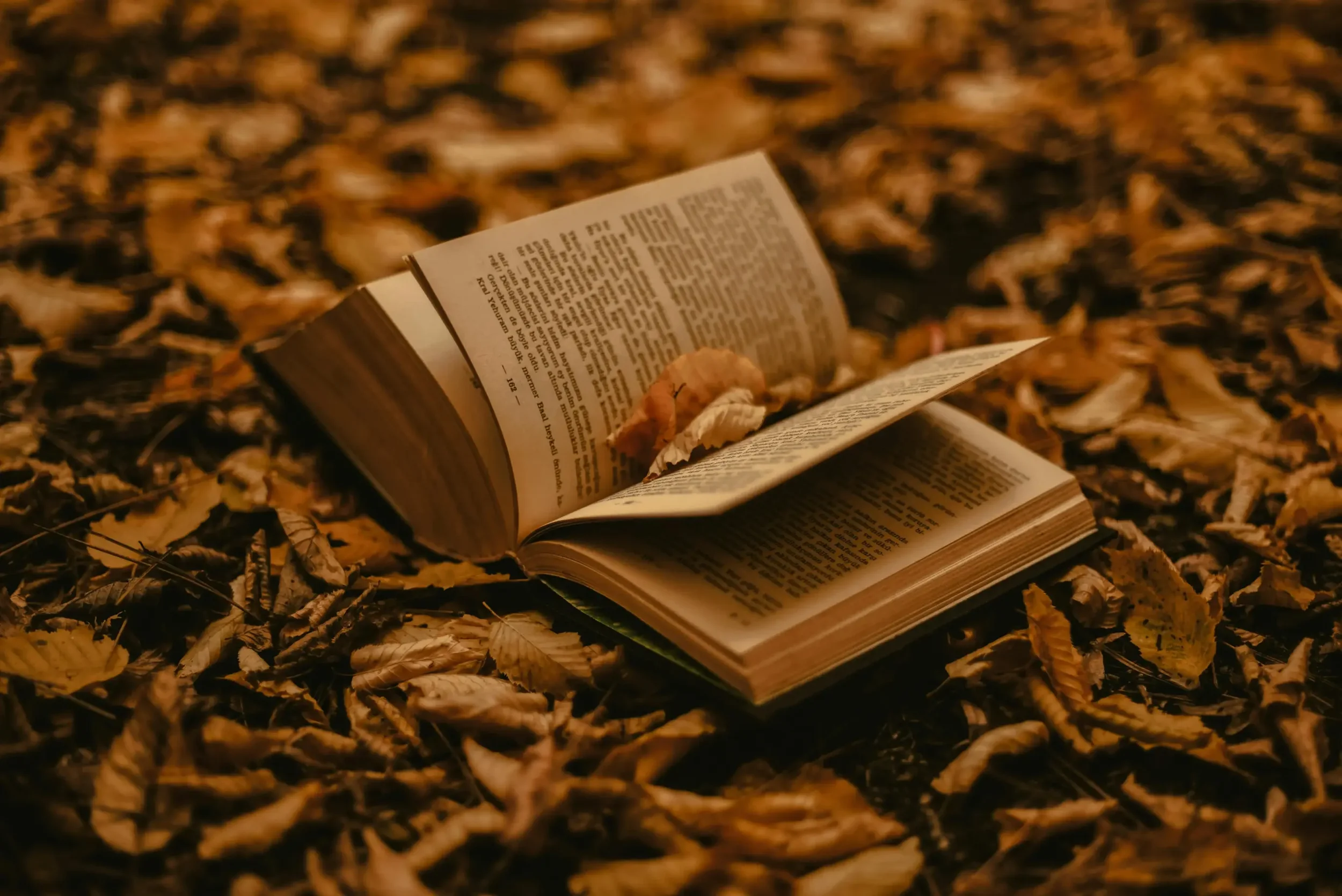 Why Writers Should Read
