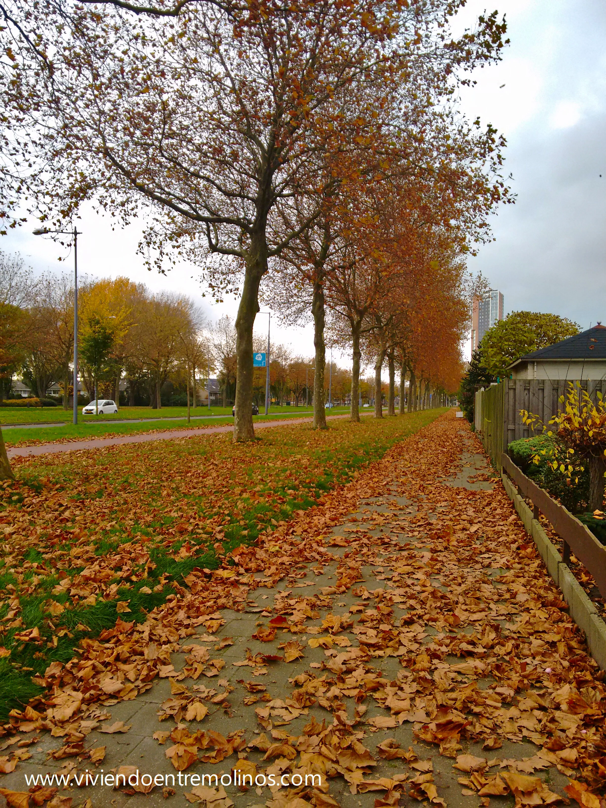 2015-11-04 14.48.19_01.jpg