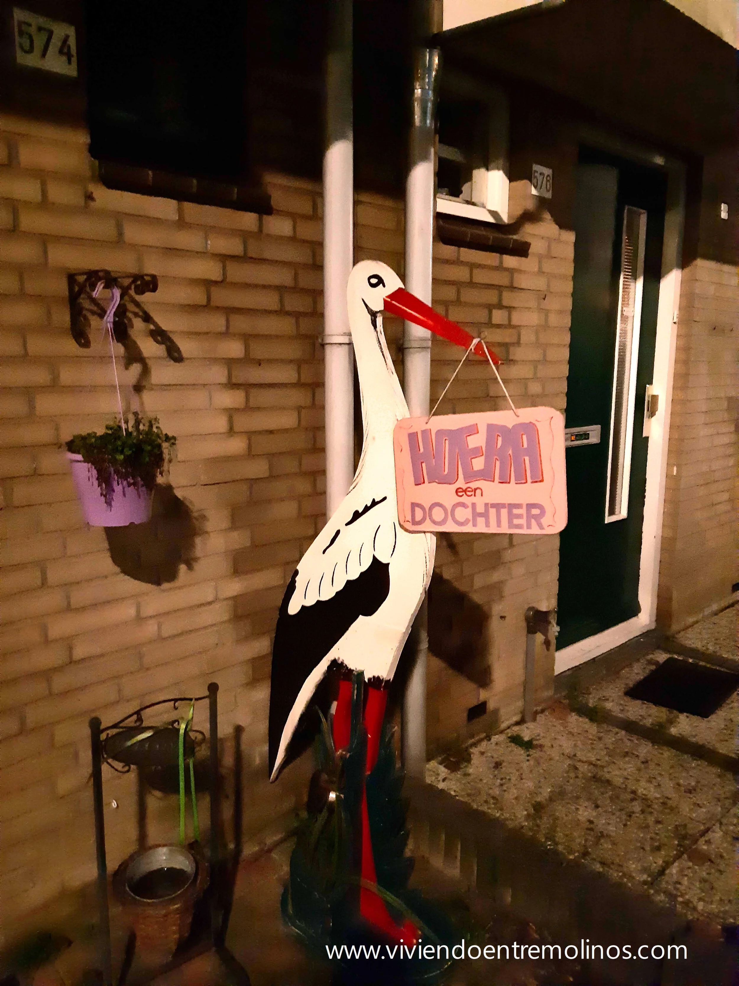 20190223_020133_01.jpg
