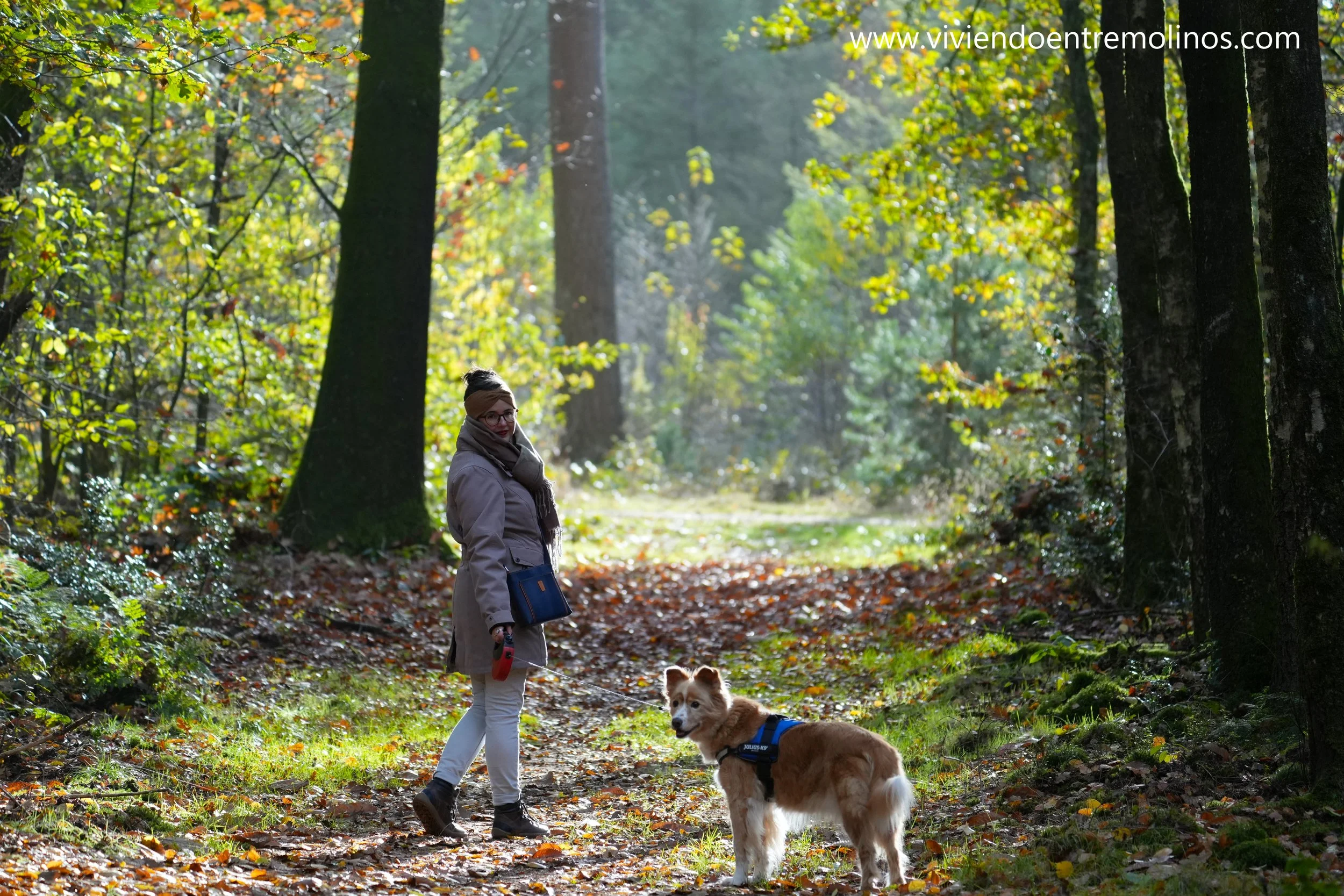 Otoño 11-2024 A7C09457_01.jpg