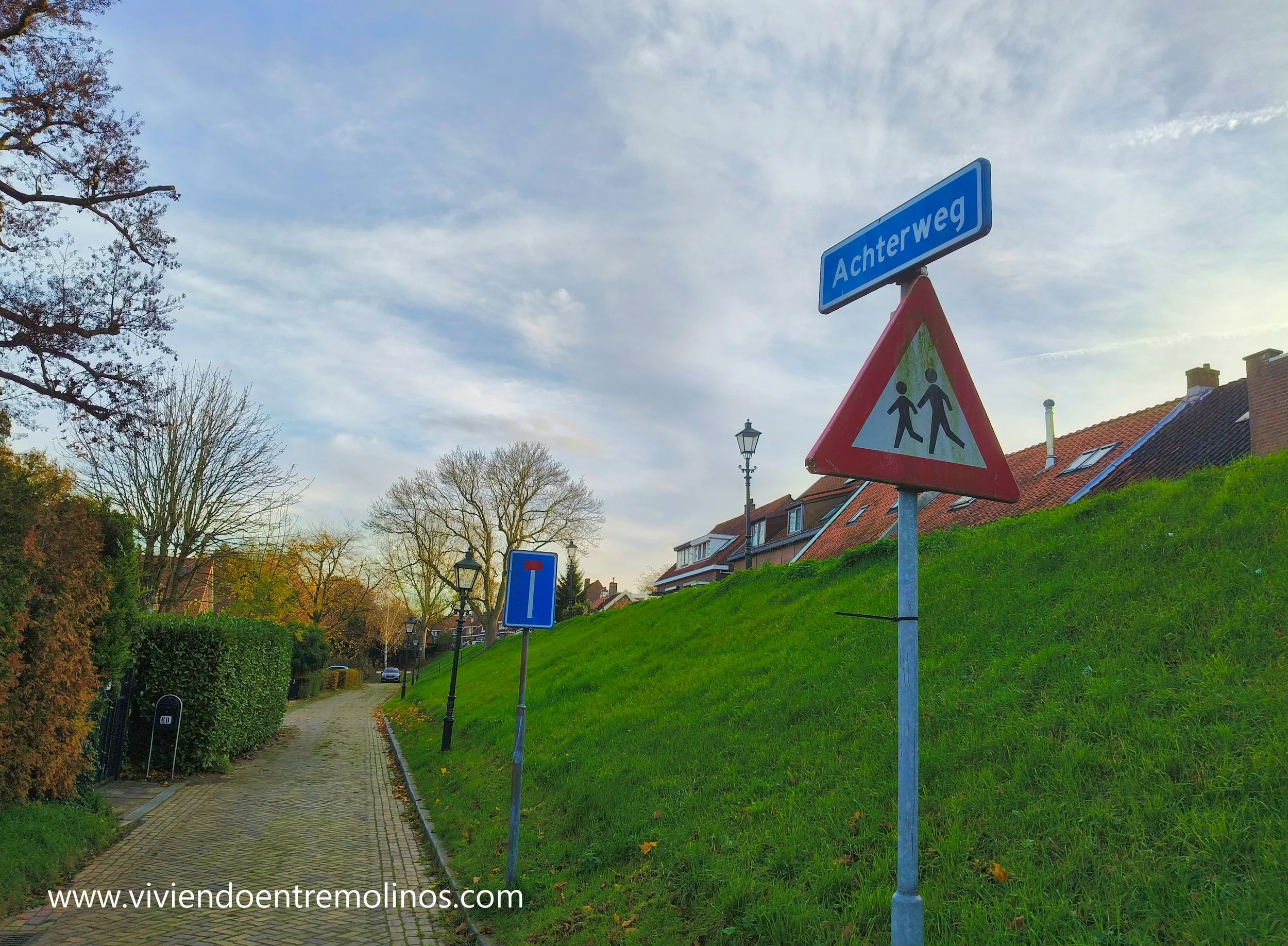 Curiosidades lingüísticas