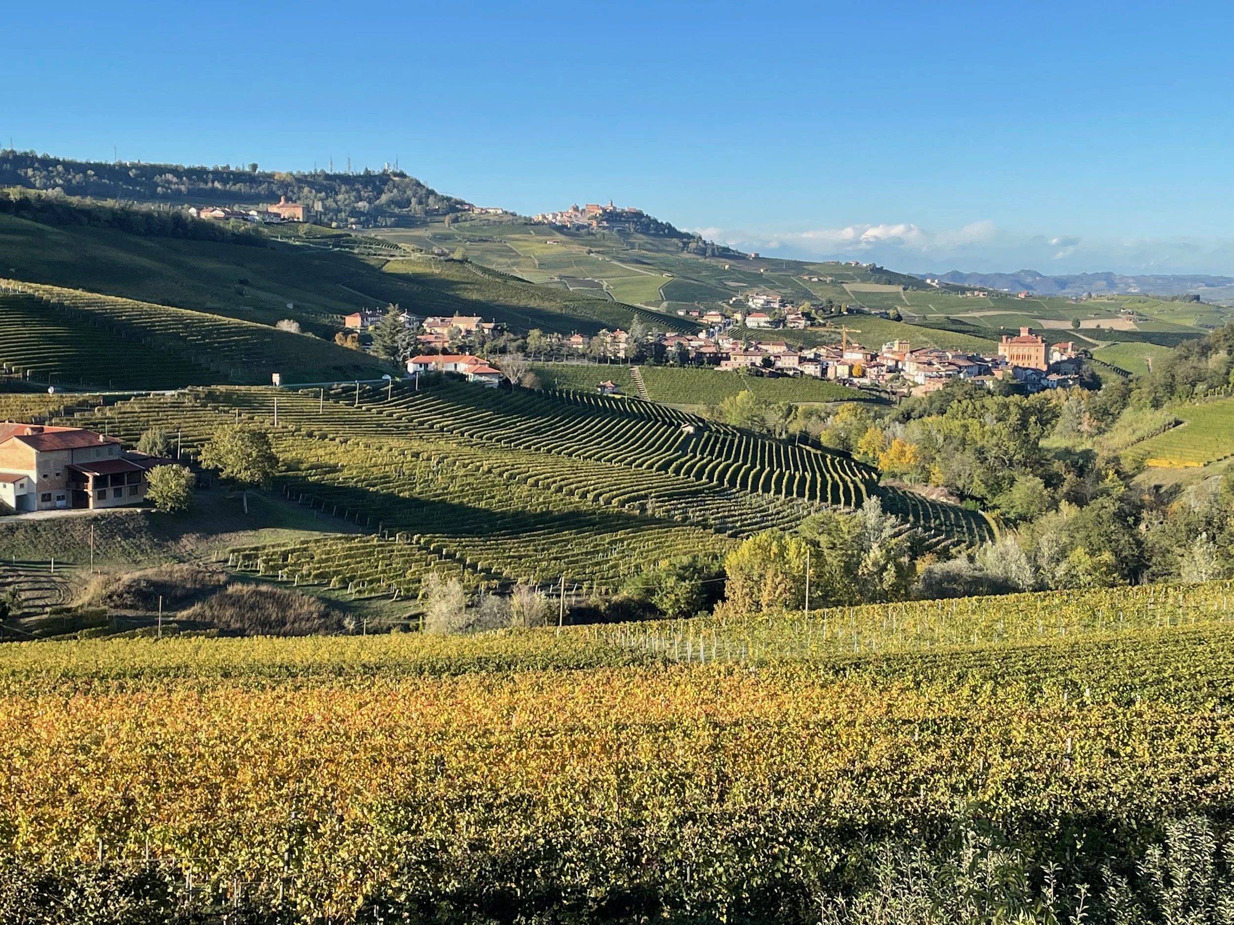 La Morra and vineyards