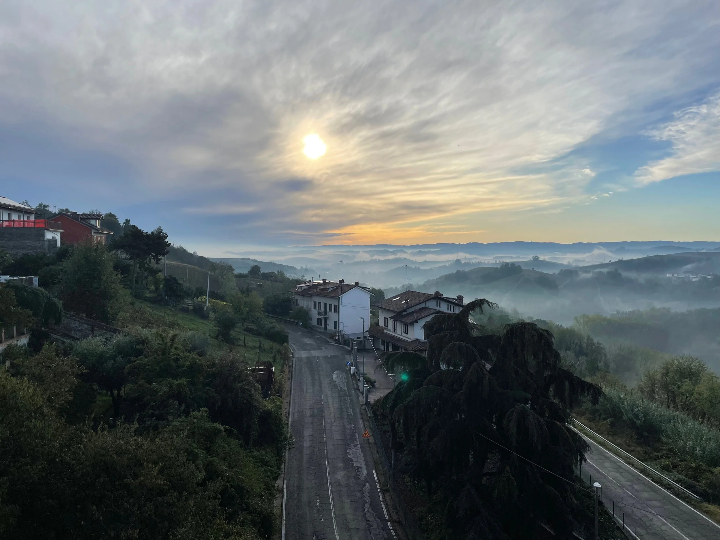 Monta in the early morning.jpeg