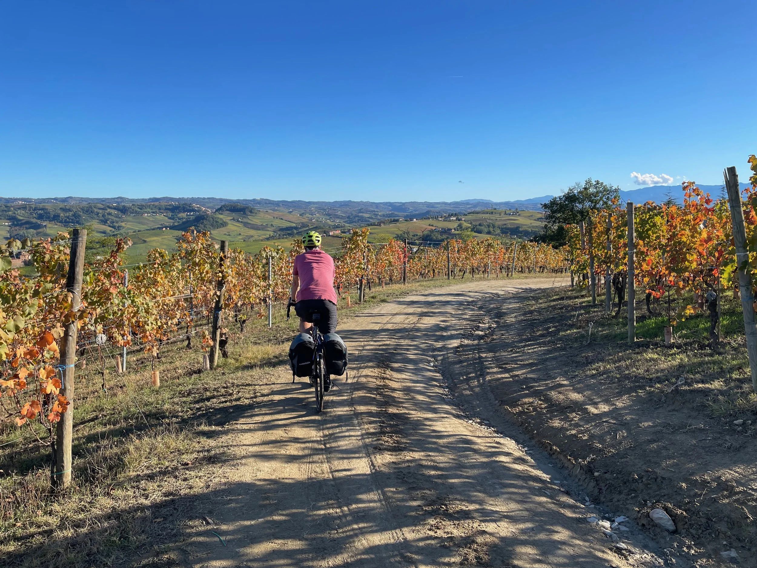 William on vineyard track.jpeg