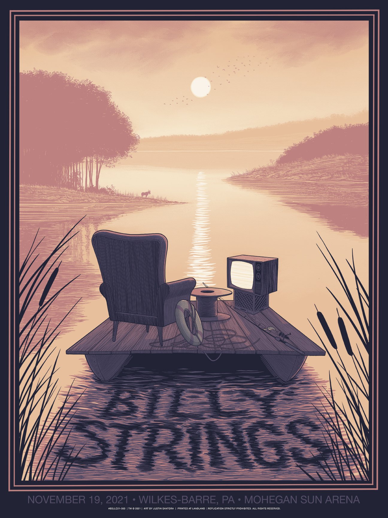 Billystrings_lr.jpg