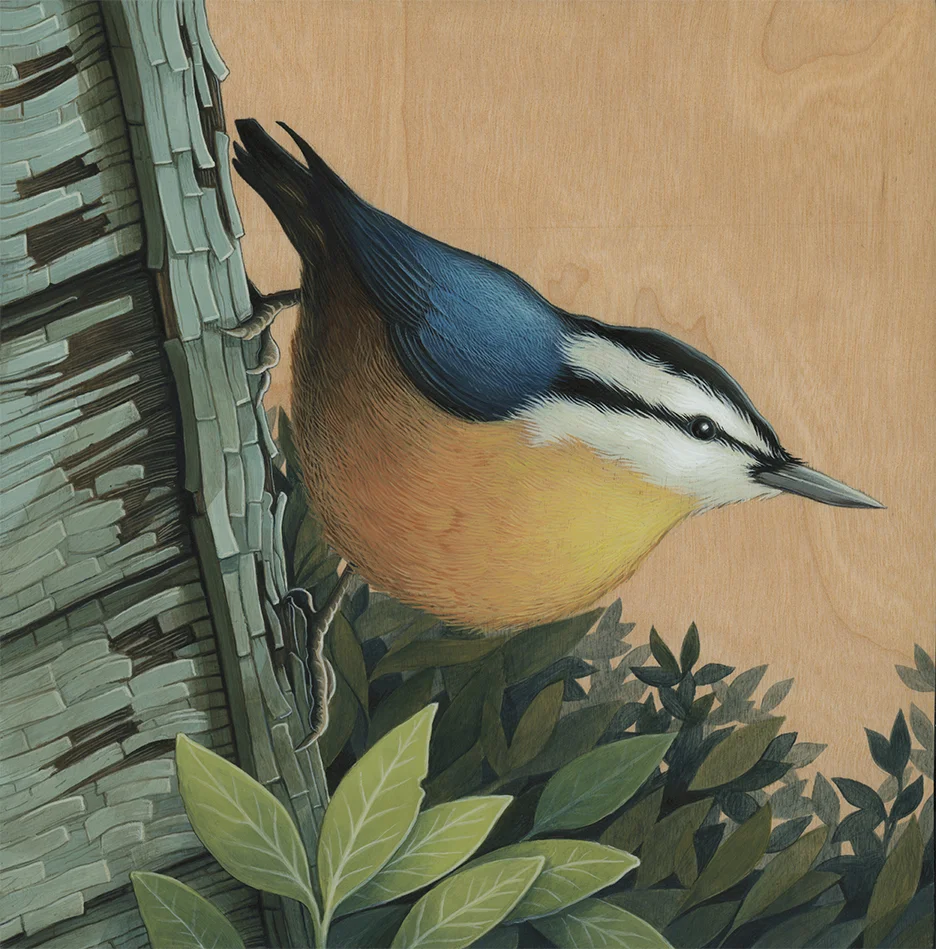 Acrylic on wood panel, 8x8”, 2016. For the VACVVM’s Silent Aviary exhibition.