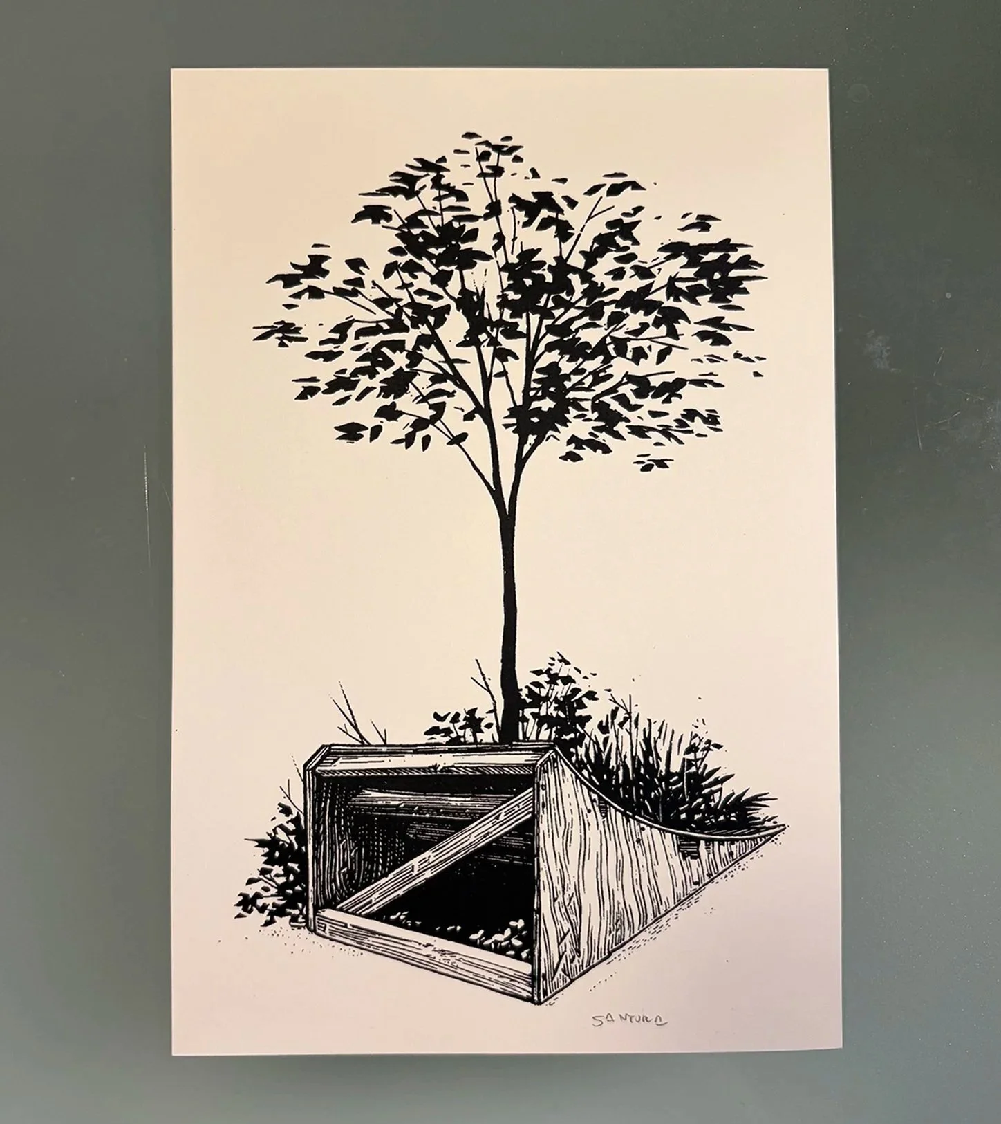 treeramp.jpg