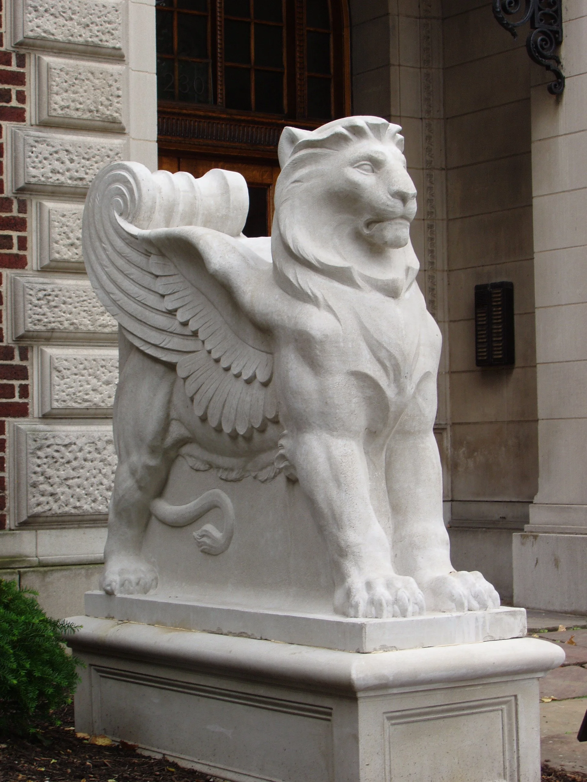 Lion (2).JPG