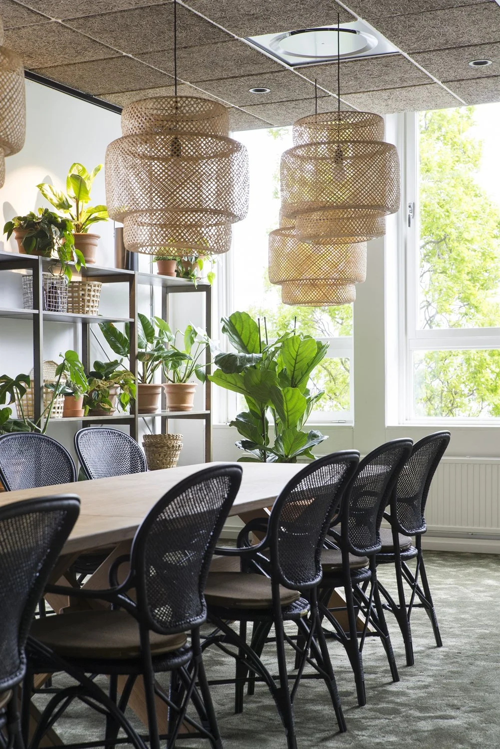 orkla-041_2654.jpg