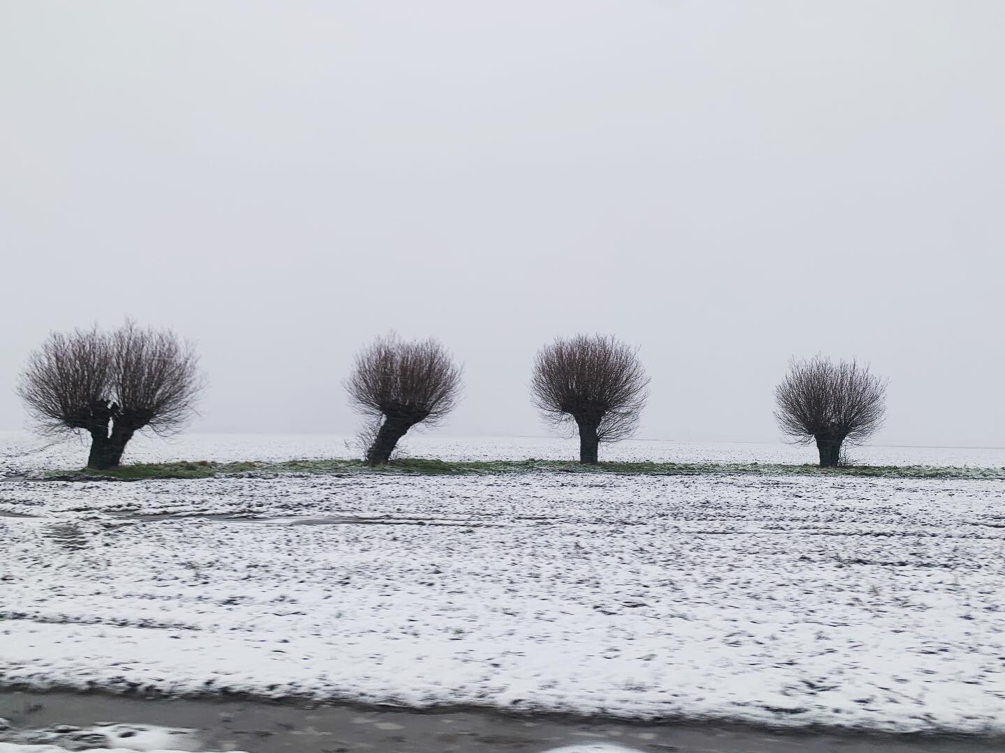 A rare sight - a white Christmas 🤍🤍🤍❄️❄️❄️❄️❄️❄️❄️❄️❄️❄️ GOD JUL to all of you🤍