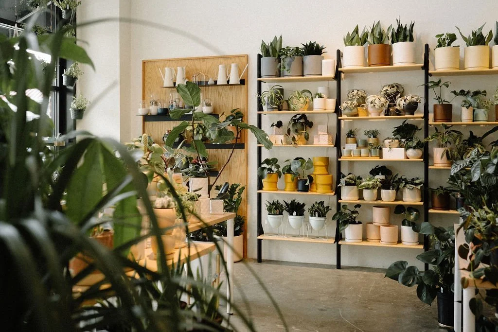 Pretty decent 5.jpeg