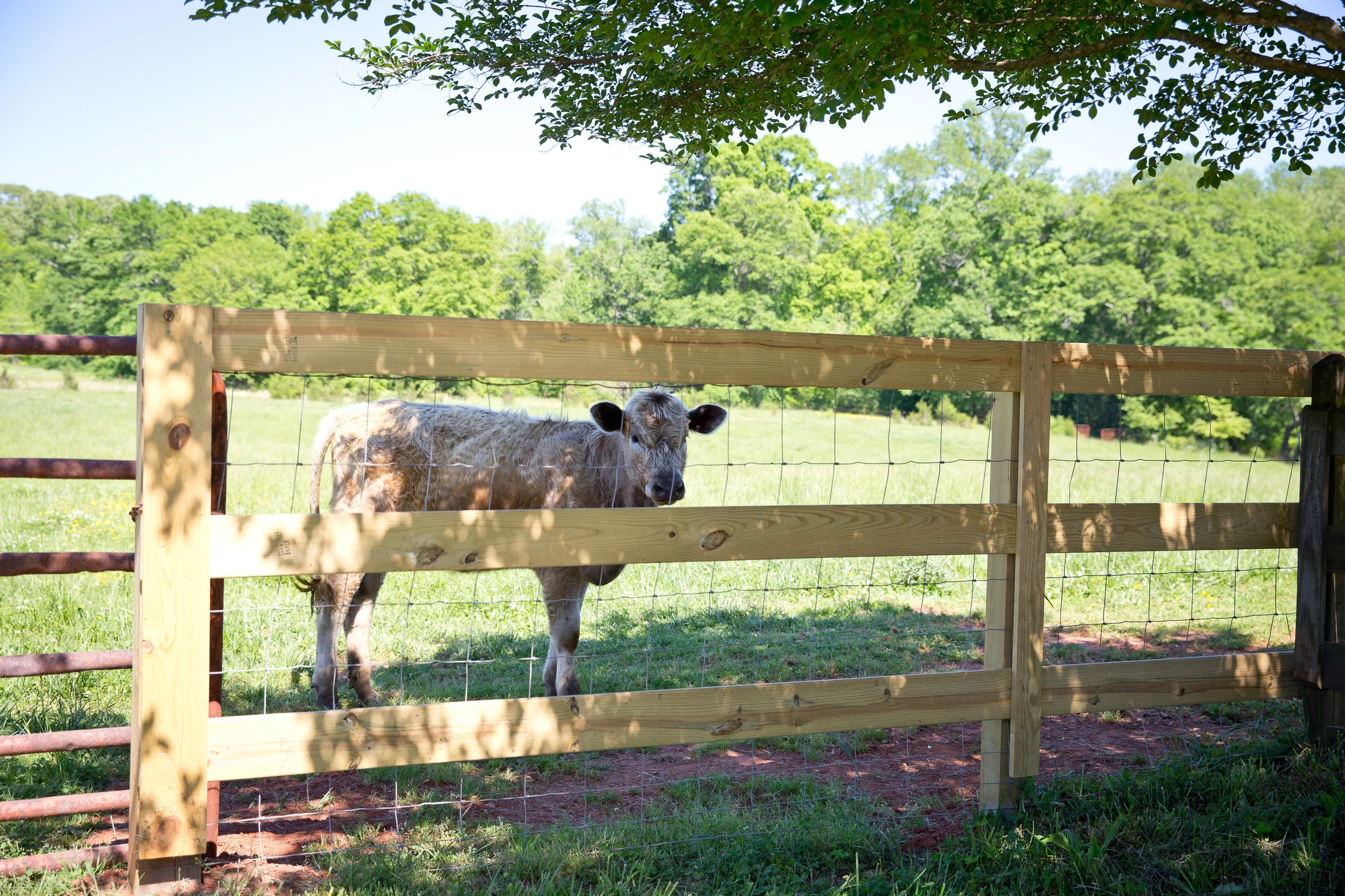 Life on The Farm
