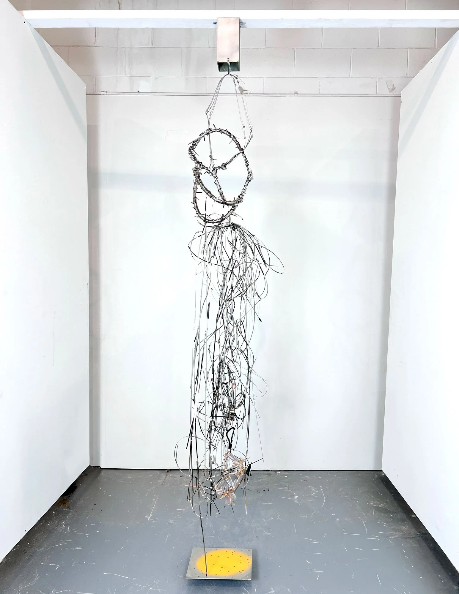 Language of Branches