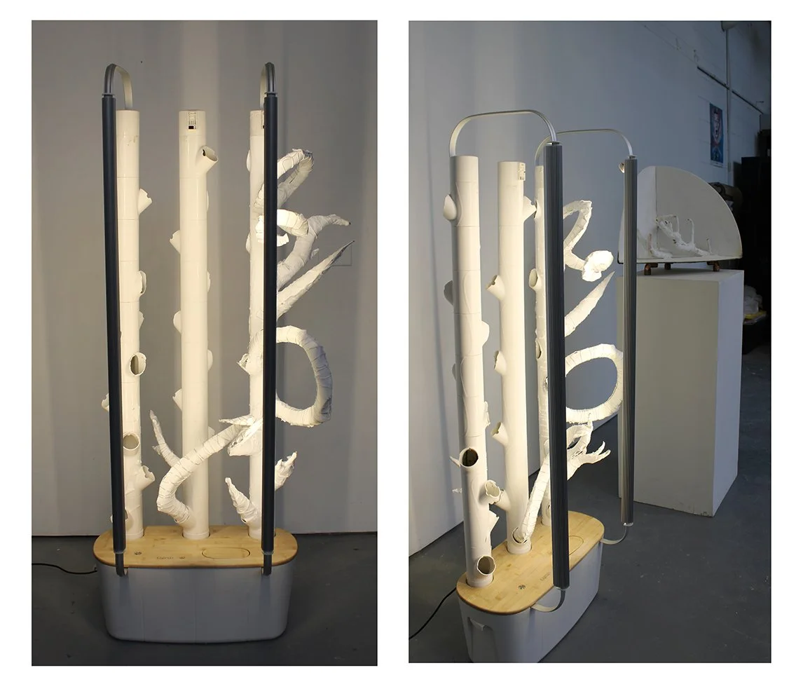 A modern art sculpture made of white pipes and branches mounted on a wooden base with vertical metal rods, displayed in an art gallery.