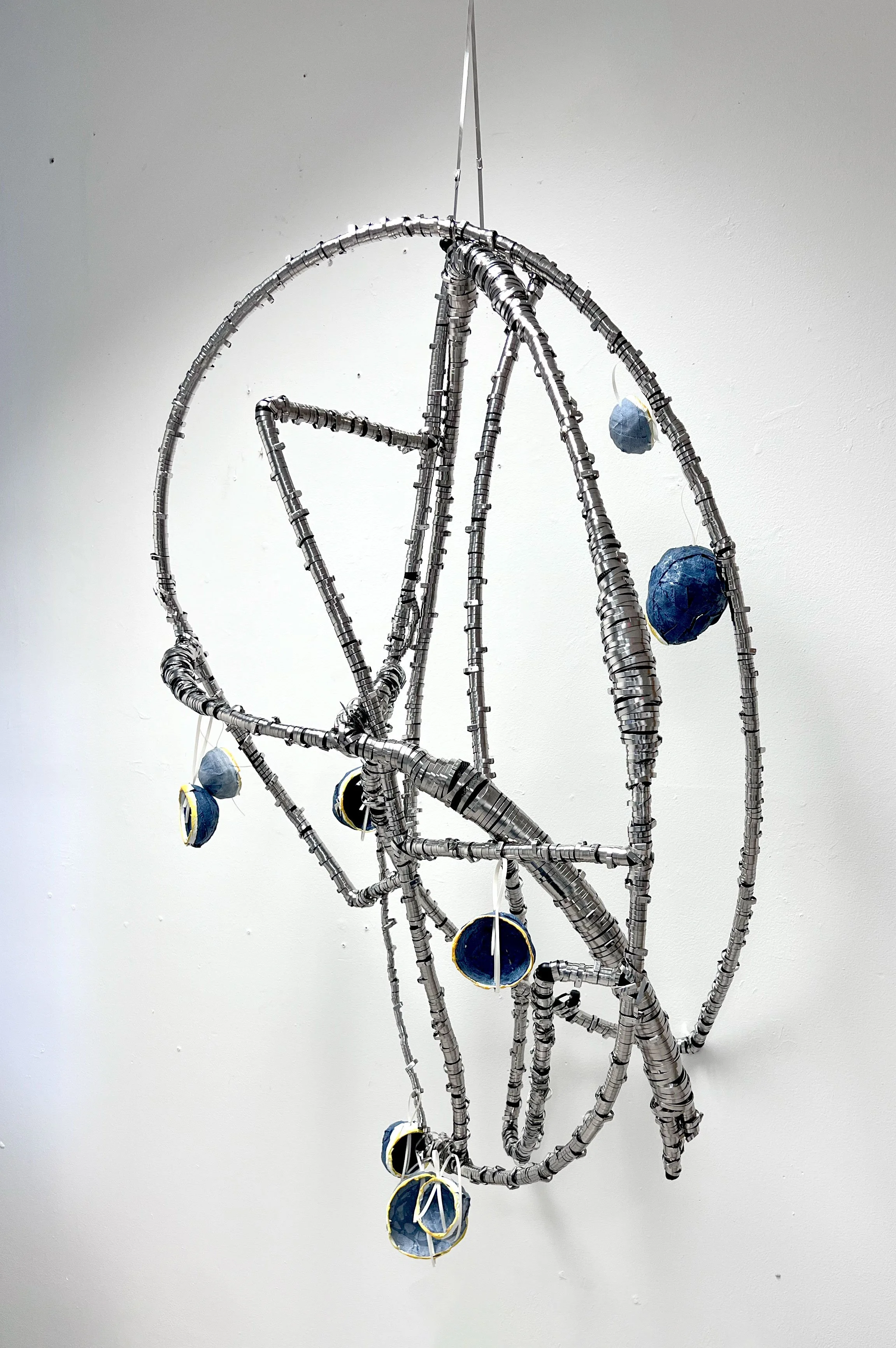 Tree of Half Blue Fruit