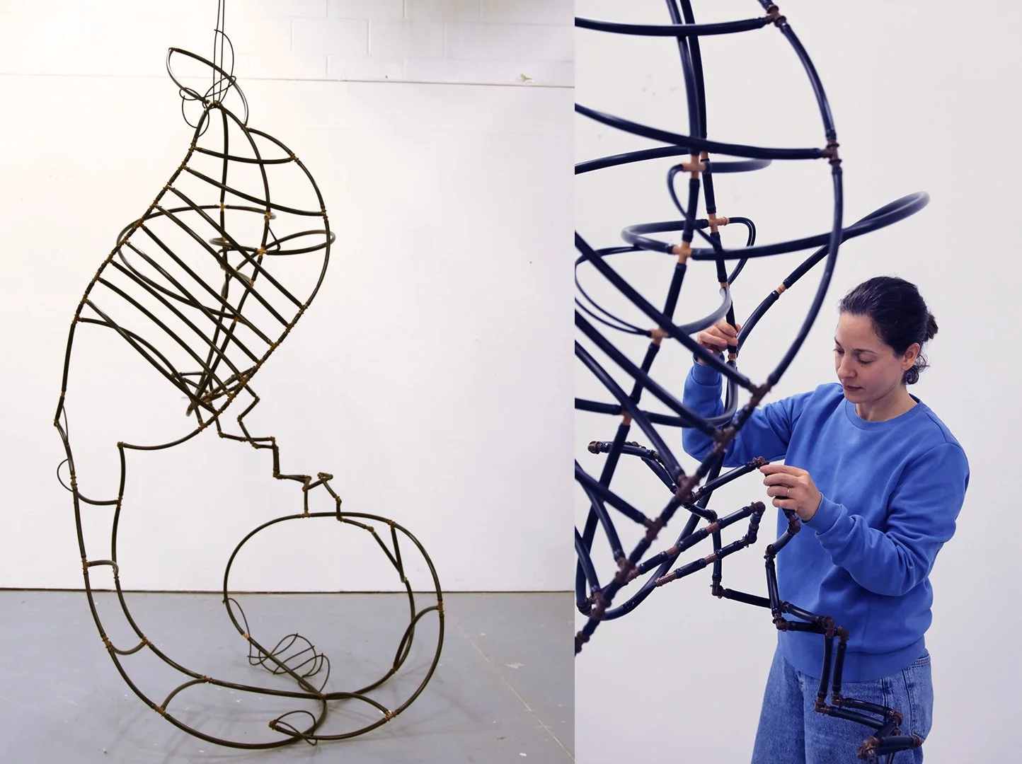 Ladder-Crib-DNA, (2025),
Irrigation hose and fittings,
10 x 5 feet.