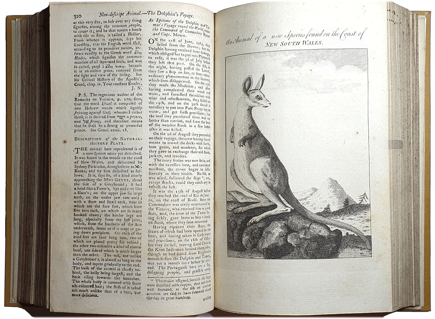 Anon. engraver after George Stubbs, An Animal of a New Species found on the Coast of New South Wales 1773 Gentleman’s Magazine p. 320. Private col.