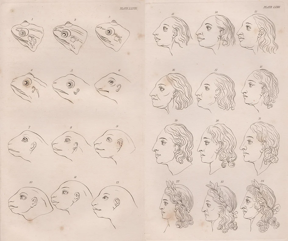 Thomas Holloway after drawings by Johann Lavater, Frog to Apollo in Lavater, Essays on Physiognomy, trans. T Holcroft (London: C. Whittingham , 1804). Private collection.