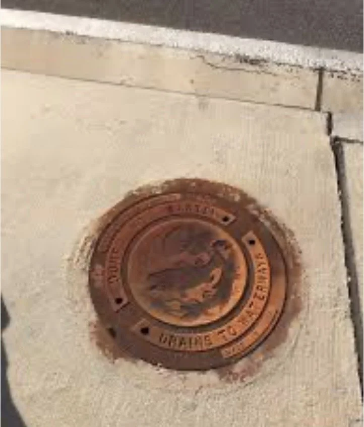 Building a Stronger South Augusta from the Ground Up