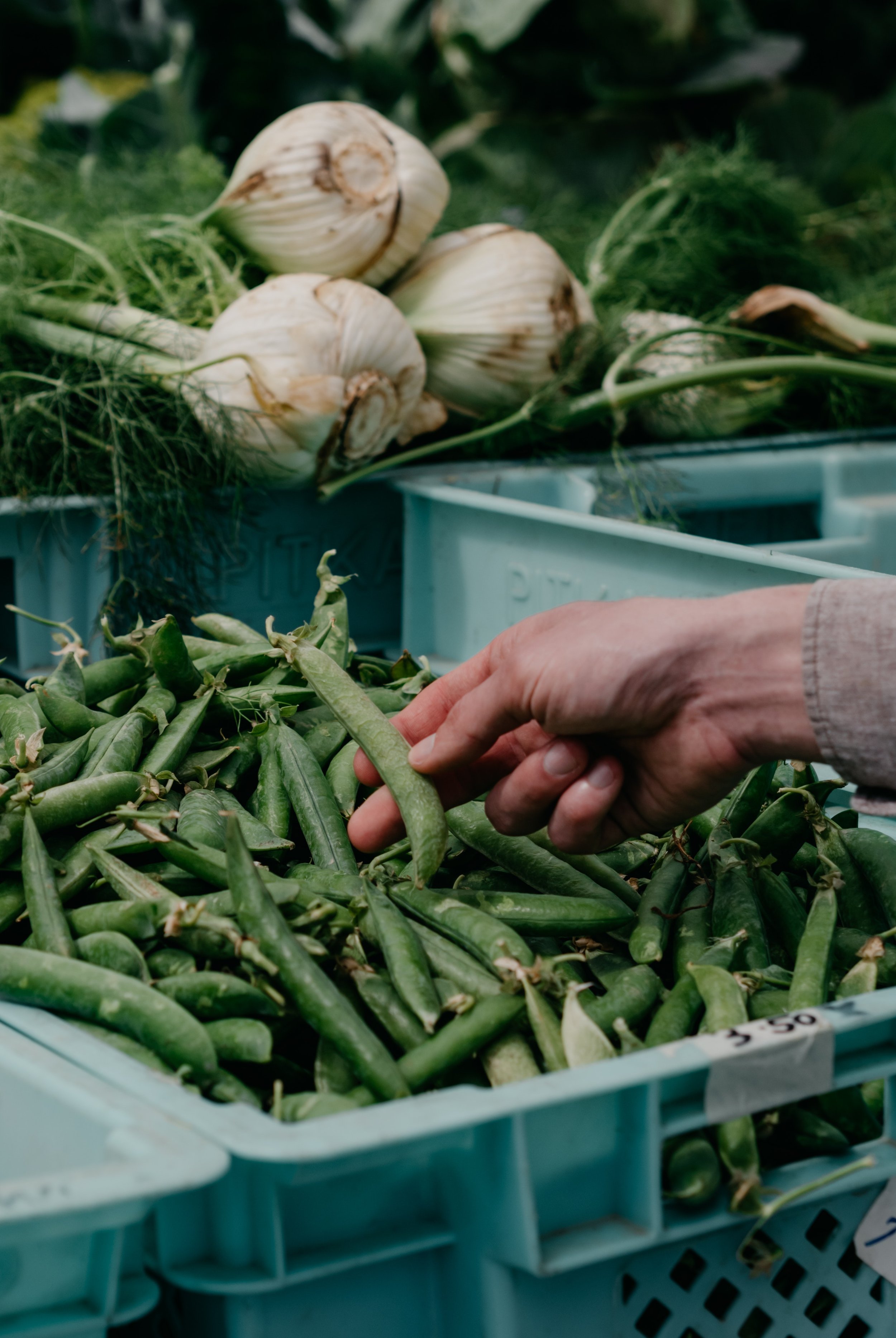 How to Sell at Farmers Markets Course — Growing Augusta