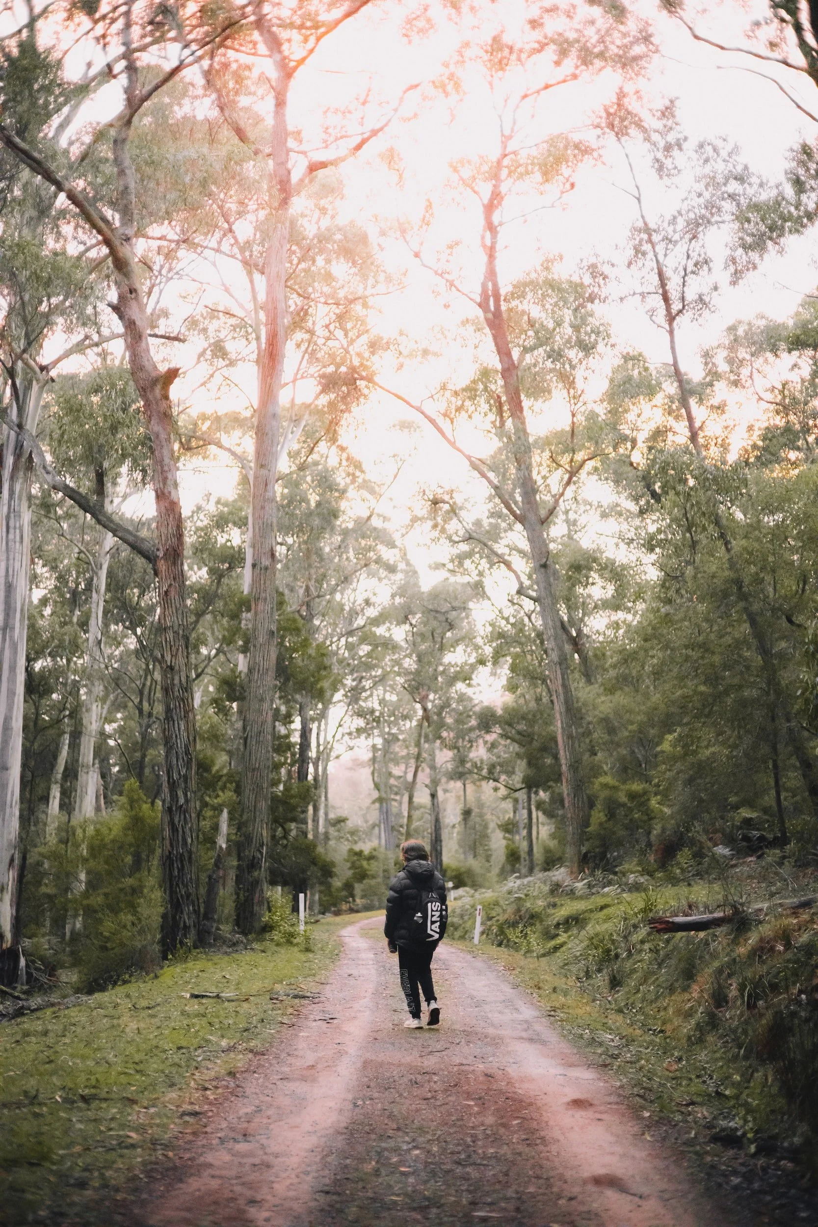 unsplash-image-Pxttade7xLc.jpg