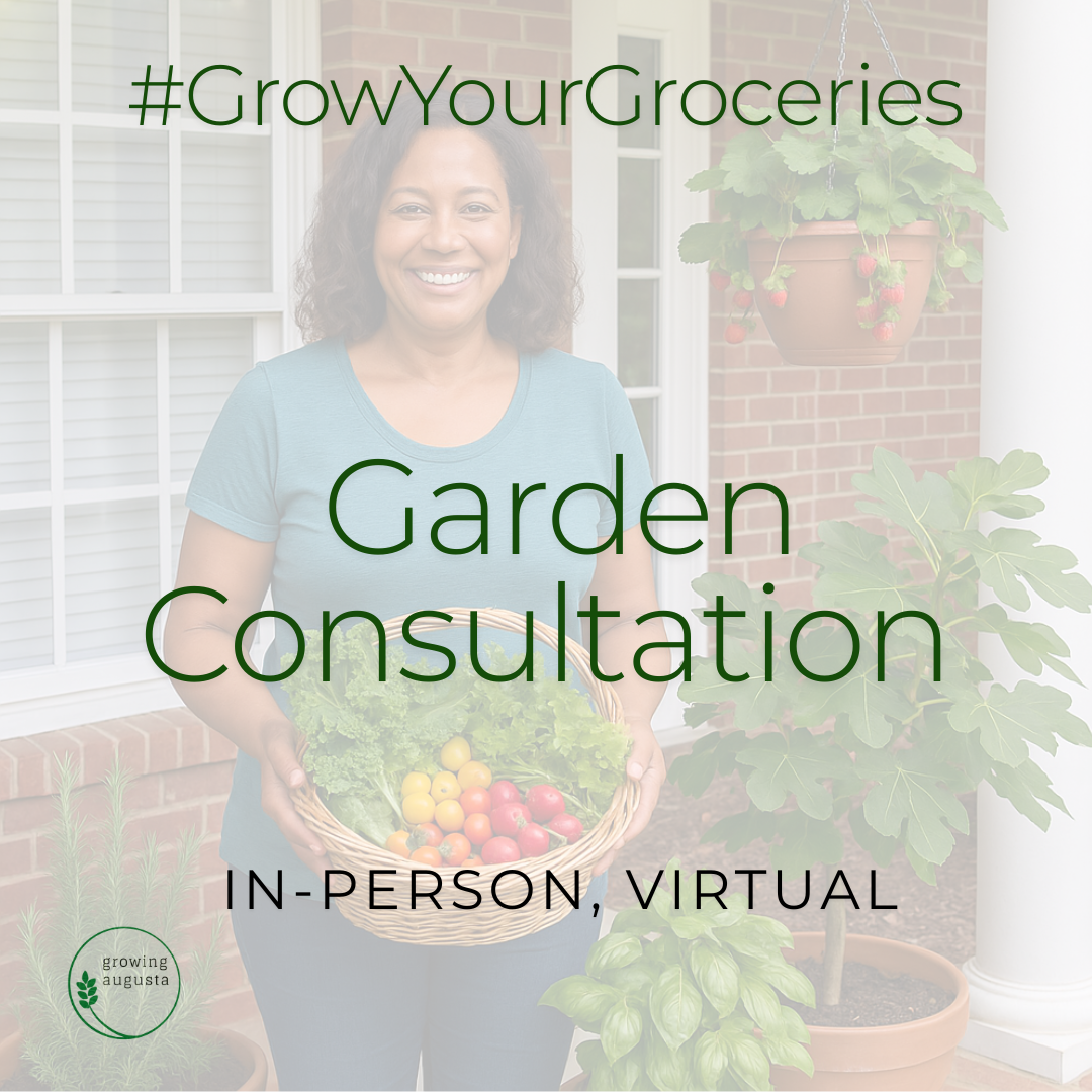 #GrowYourGroceries Garden Consultation