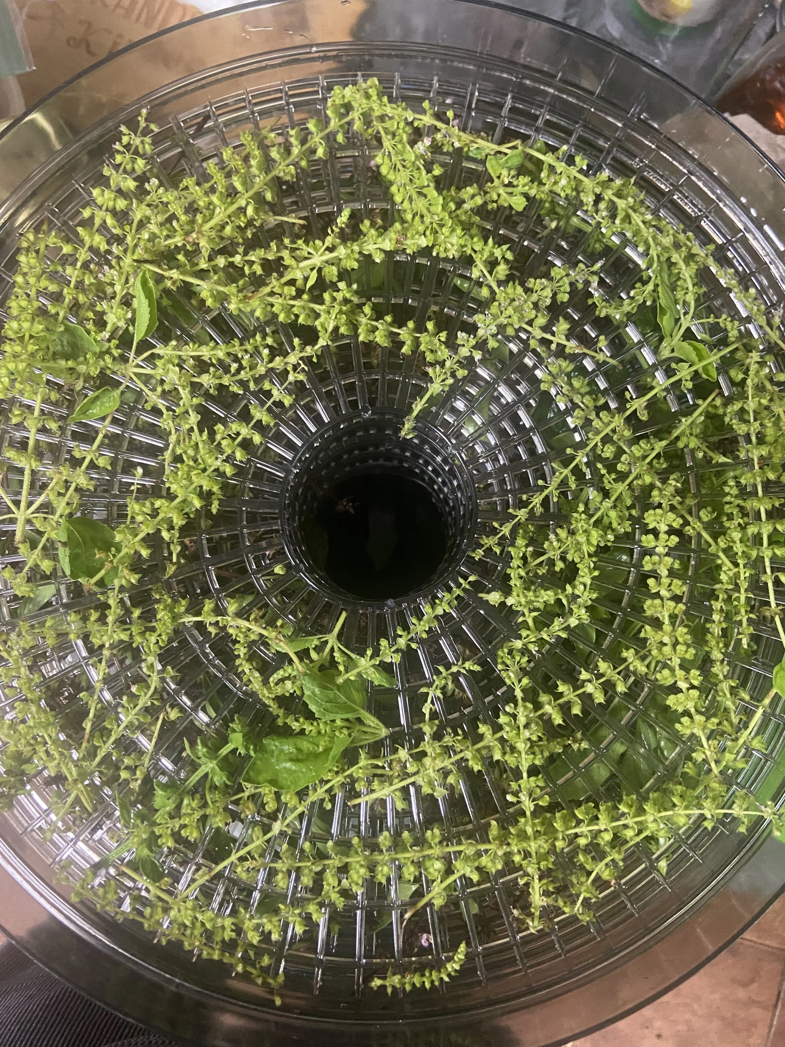 Beyond the Leaf: Adding Value with Basil Flowers