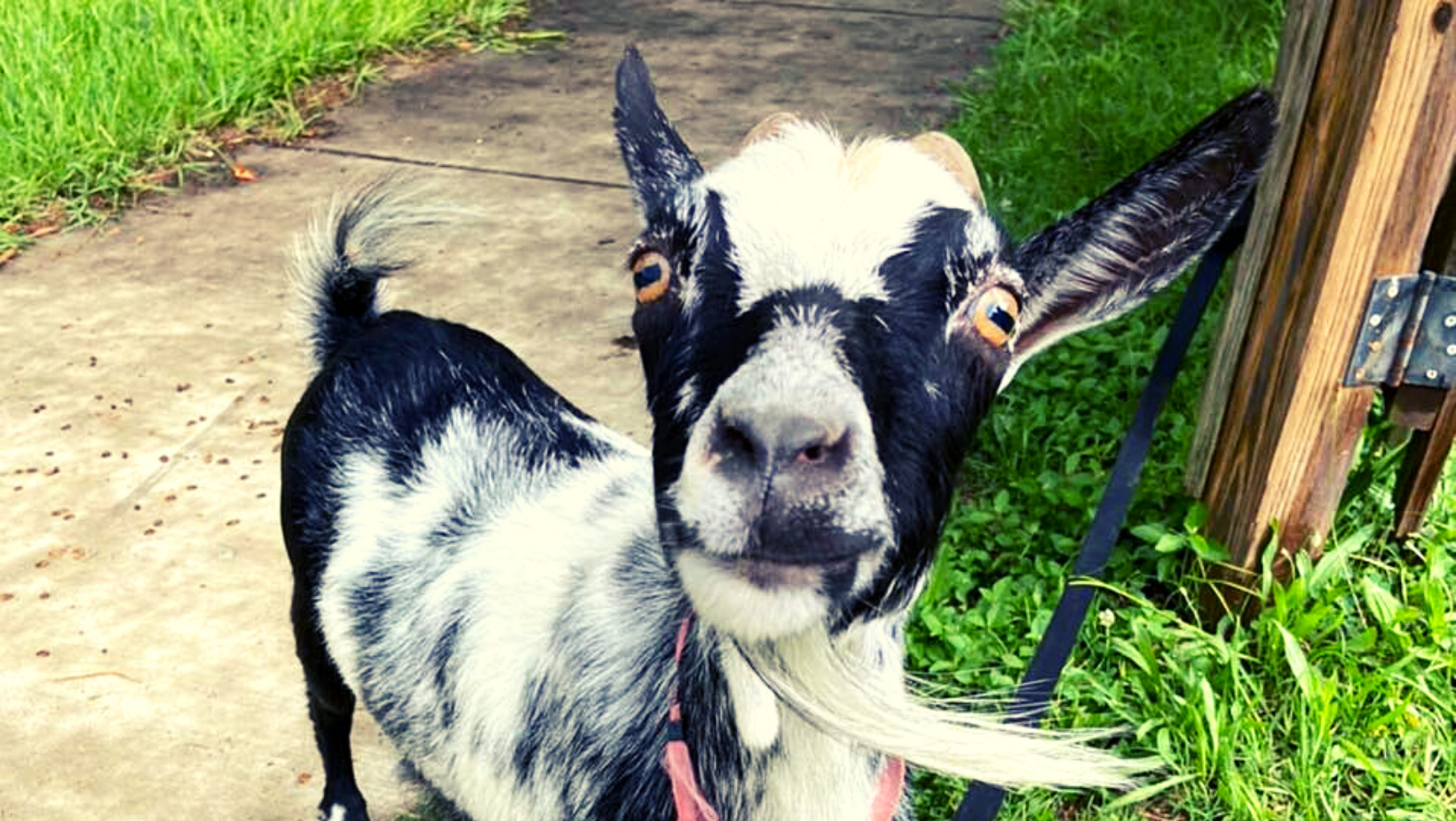 611 Kettle Creek.png