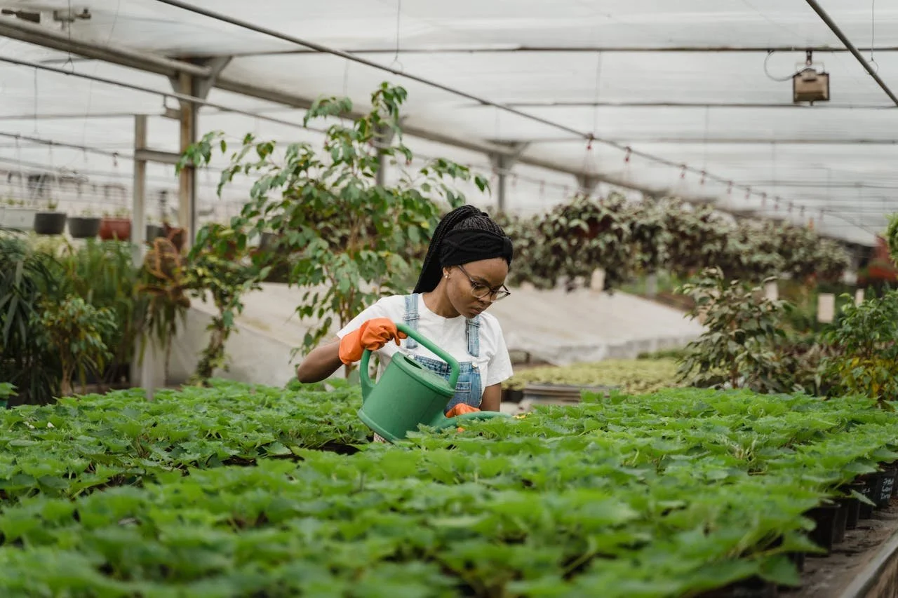 Beyond the Farm: How Urban Agriculture is Reshaping Our Food System