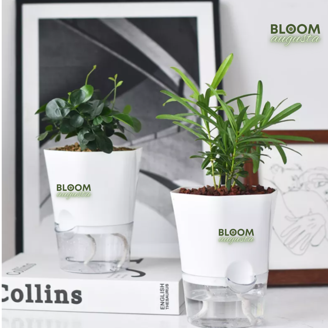 logo planter.png