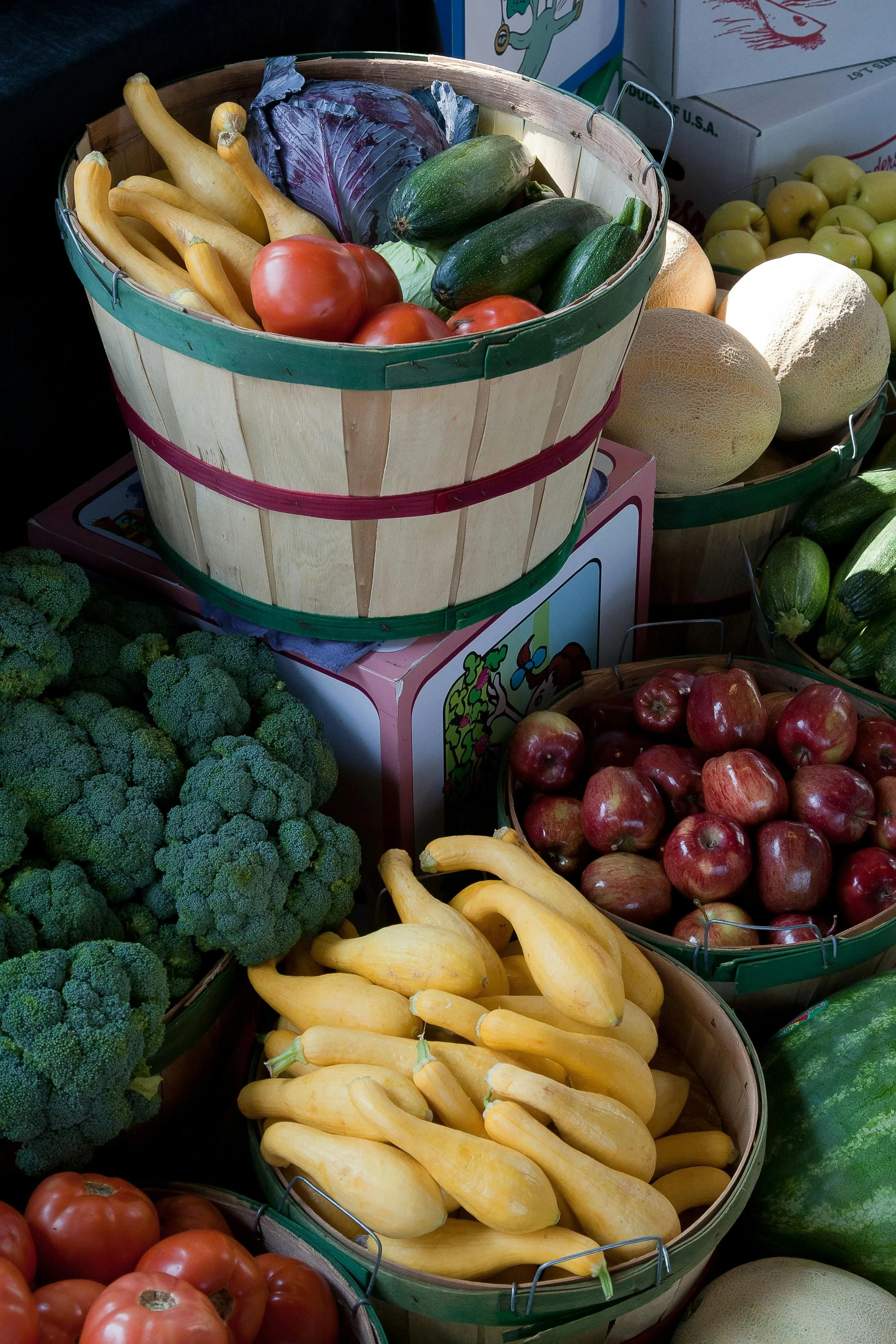 pexels-nc-farm-bureau-mark-2255920.jpg