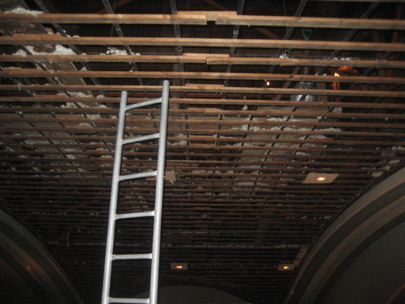 img_5608 (medium).jpg